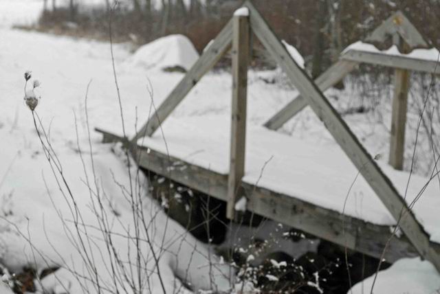 Trail Bridge.jpg